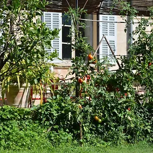 Les Passiflores , Grasse France